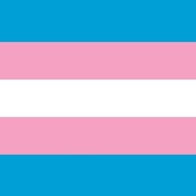 Giant Transgender Gay Pride (Monica Helms) 8x5 flag (stitched)