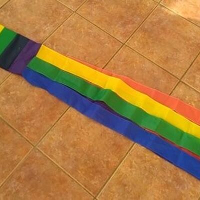 Rainbow Windsock (gay pride)