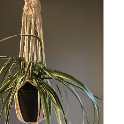 Macrame plant hanger 3