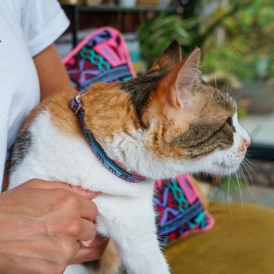 Mud Cloth Cat Collar