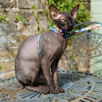 Wizard of Dog Vegan Cat Harness
