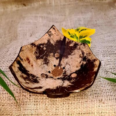 Coconut Shell Soap Dishes | Maple Leaf