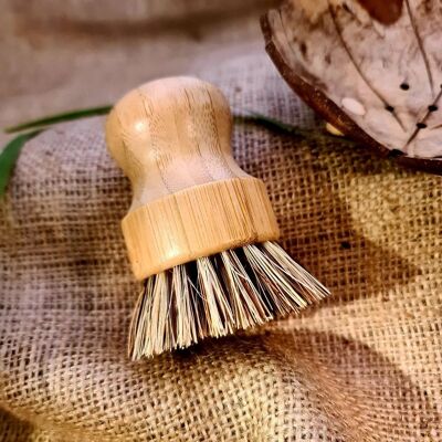 Bamboo Brush Scrub Cleaner | Coconut Shell Accessories