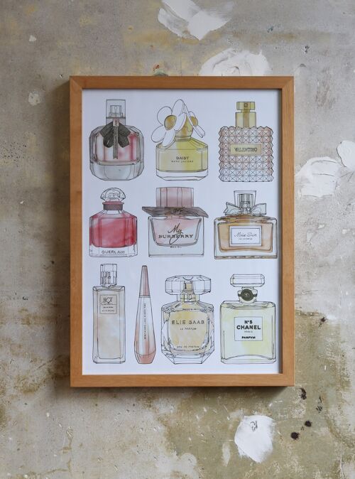Perfume Bottle Drawing Collection