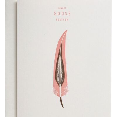 Goose Feather Grusskarte