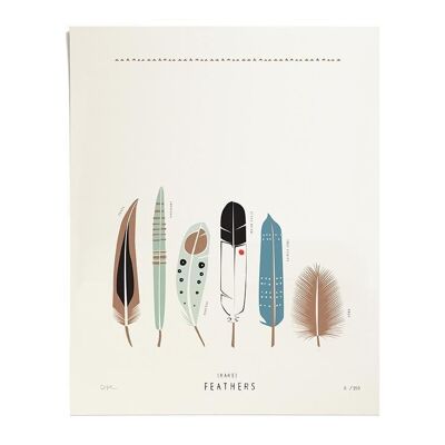 Rare Feathers, Printing, Ltd. 250