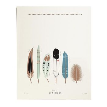 Rare Feathers, Printing, Ltd. 250 1