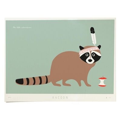 Racoon, stampa, ltd. 250