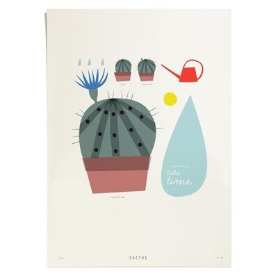 Cactus, Printing, Ltd. 250