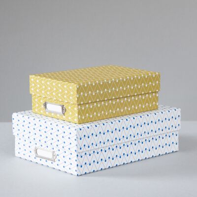 Set of 2 Archive Boxes - Dash print