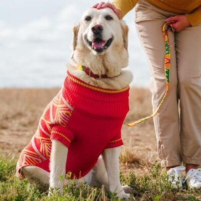 New Horizons Dog Jumper- Small