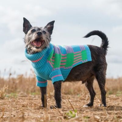 Margate Gingham Dog Jumper- Small