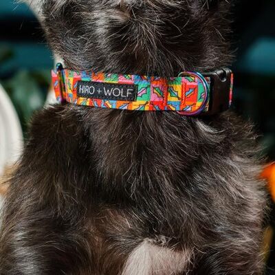 Holly Pop Vegan Dog Collar
