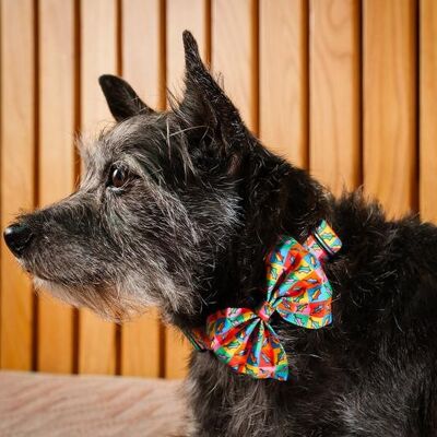 Holly Pop Dog Bow Tie