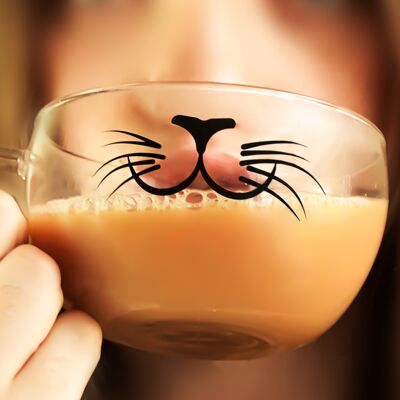 Tasse de filtre en verre pour chat