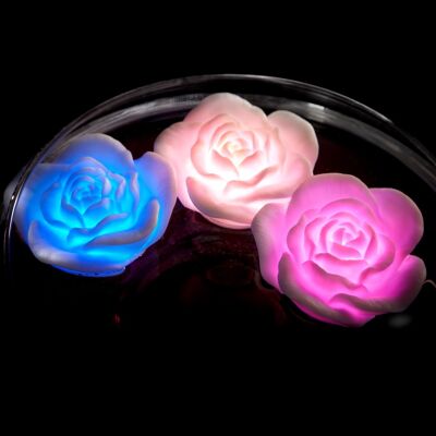 El baño de rosas flotantes brilla