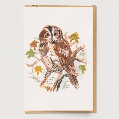 Owl Penpal Card