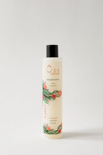 Shampooing Naturel Cheveux Usage Quotidien CALICE 250ml 2