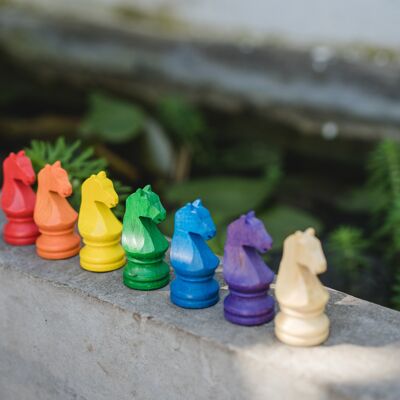 7 cavalieri colorati di scacchi