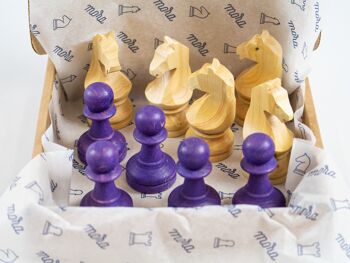 5 pions + 5 cavaliers d'échecs 8