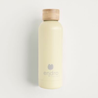 Stainless steel insulated water bottle - apple green