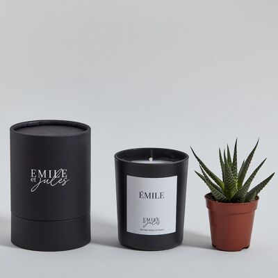 Jasmine + plant scented candle