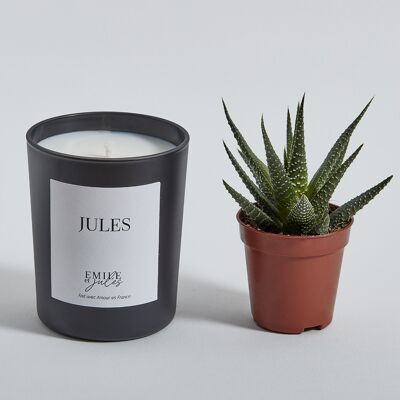 Scented candle dark chocolate caramel and vanilla + plant