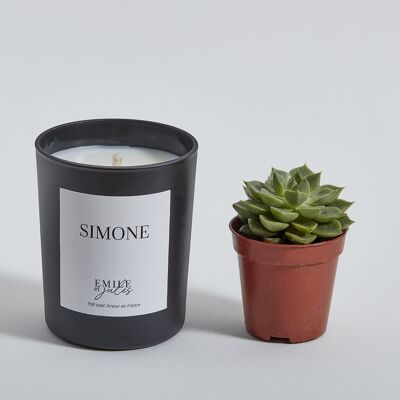 Bougie parfumée Pomme Pêche Rose + plante