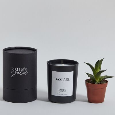 Scented candle patchouli leather geranium + plant