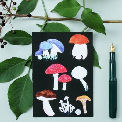 Funghi da cartolina