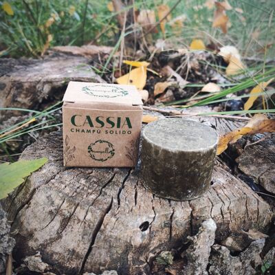 Solid Shampoo CASSIA