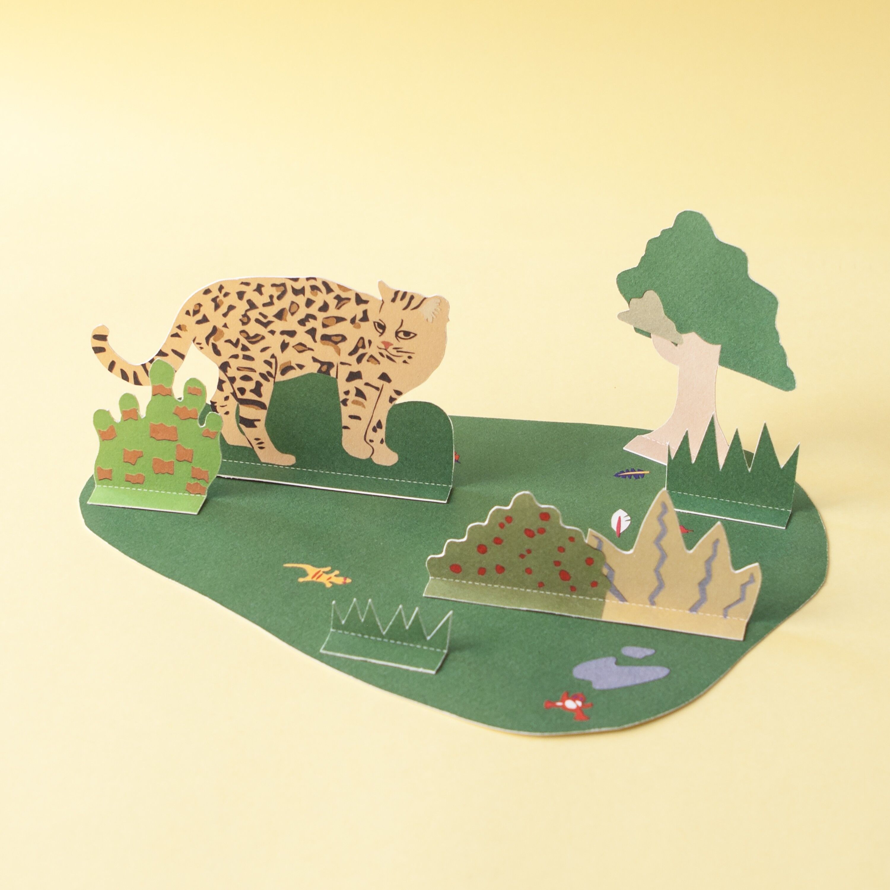 Diorama - Die Oncilla und ihr Lebensraum