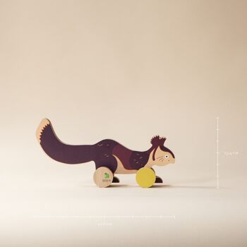 Coffret cadeau - L'écureuil géant d'Inde et sa fiche informative illustrée 8
