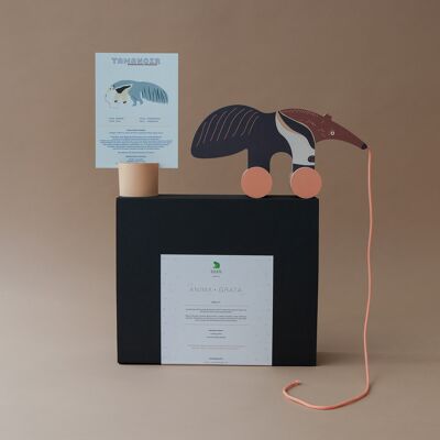 Gift box - The anteater and its illustrated information sheet
