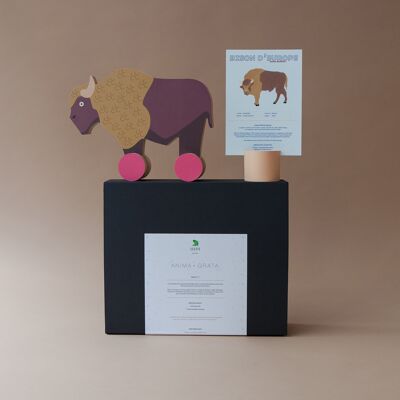 Caja regalo - El bisonte europeo y su ficha informativa ilustrada