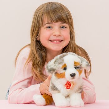 Chiot Berger Australien assis 22 cm - peluche - peluche 2