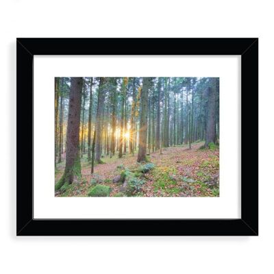 Sunset in a forest Framed Art Print