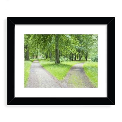 Forked pathway in a forest Framed Art Print