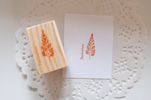 Fern Rubber Stamp, Note & Wish Rubber Stamp