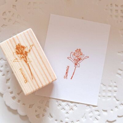 Skimmia Rubber Stamp, Note & Wish Rubber Stamp