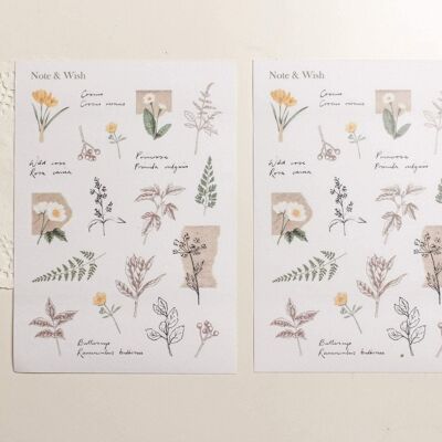 A Study of Flowers Stickers