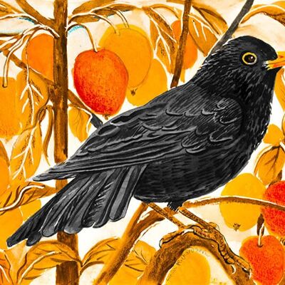 Blackbird and Crab Apples, Linda Richardson