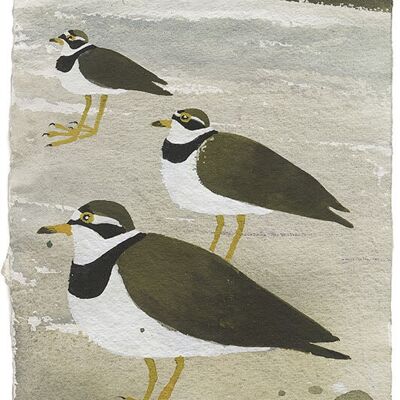 Ringed Plovers, Mary Fedden