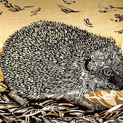 Autumn Hedgehog, Linda Richardson