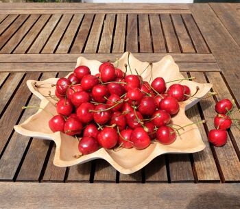 Bol en bois - bol à fruits - saladier - bol en érable naturel - L L35xW35xH5cm 3