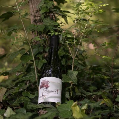 Vin rouge bio cotes du rhone 2018 elzeard
