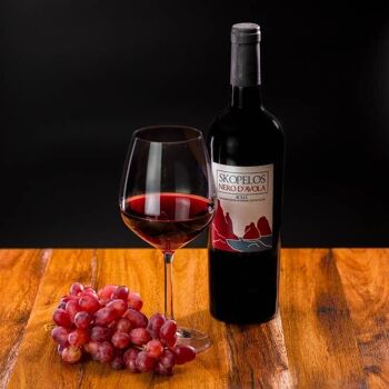 Vin sicilien biologique Nero D'avola DOC - 75cl 8
