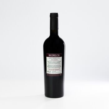 Vin Appassimento IGP Terres siciliennes - 75cl 2