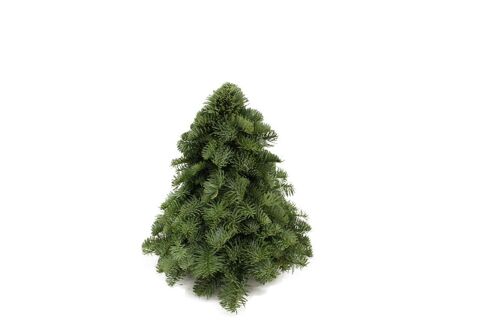 Kerstboom Nobilis groen 30 cm