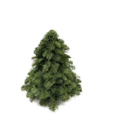 Árbol de Navidad Nobilis verde 30 cm